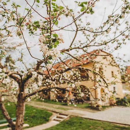 Boutique Apartman Speicher Прага Екстериор снимка
