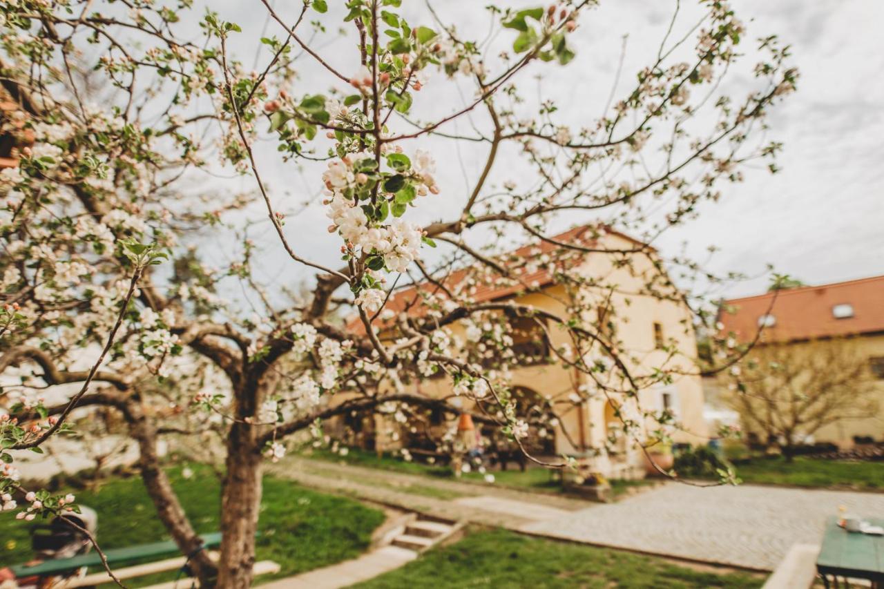 Boutique Apartman Speicher Прага Екстериор снимка